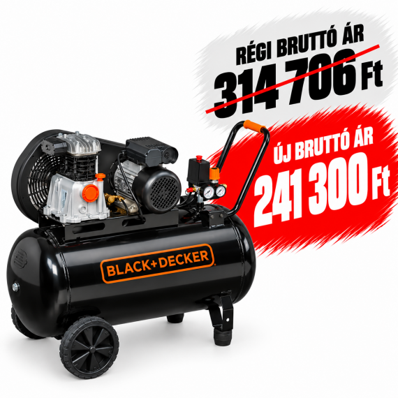 Kompresszor BD220/100-2M